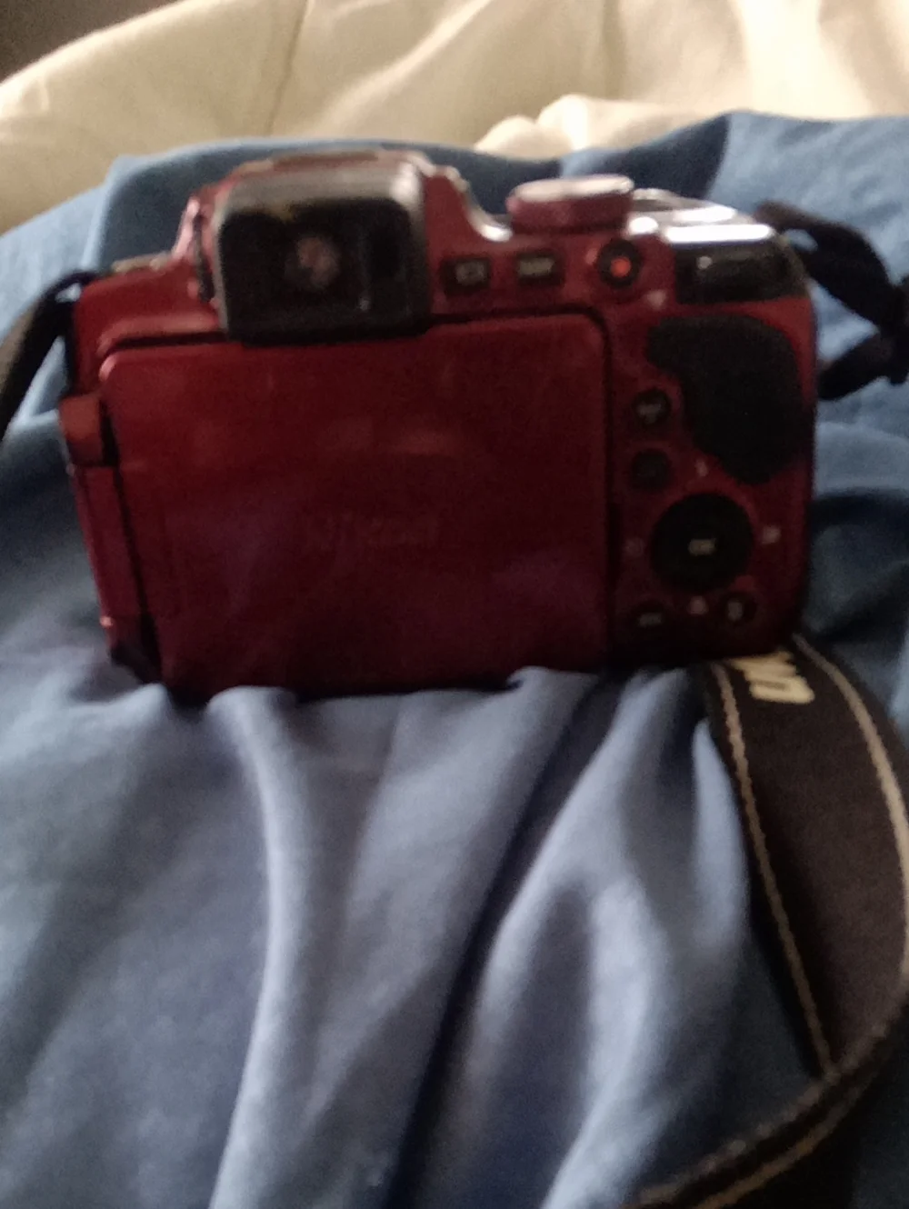 Nikon Red Bridge-Style Digital Camera with Lens